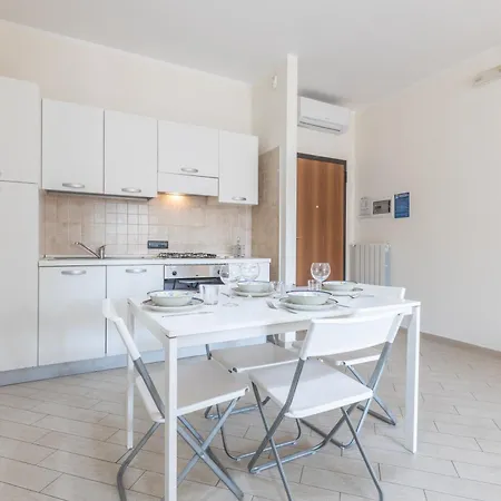 Rosa Virginia By Carpe Diem Tour