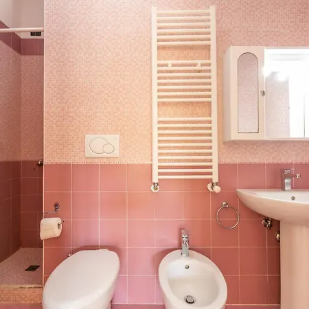 Rosa Virginia By Carpe Diem Tour